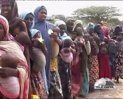 Chifre da África: apelo contra a indiferença