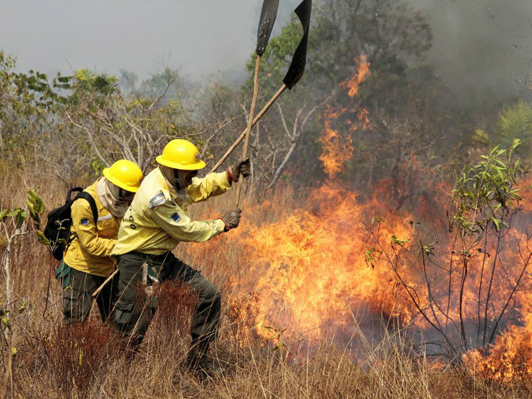 O combate aos incêndios florestais em áreas onde há registro de índios isolados estão mais frequentesDivulgação/Ibama