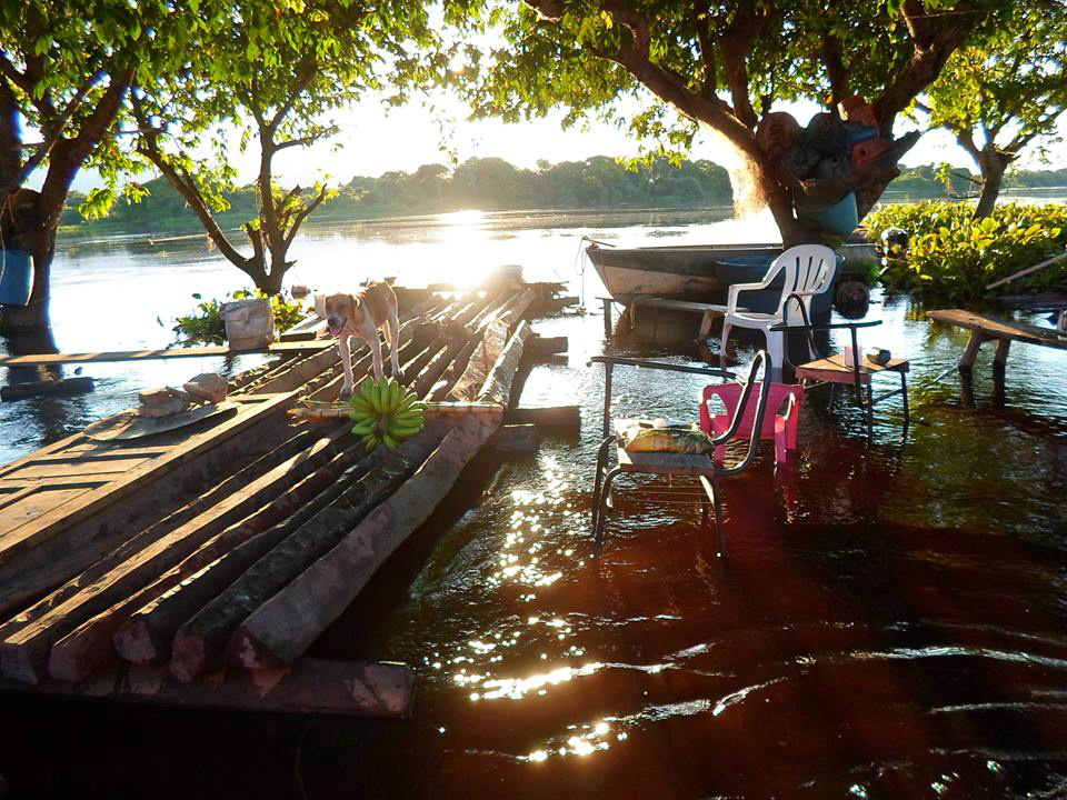 No Pantanal do Amolar grande cheia já ultrapassa nível de 2011