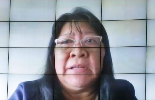 Joenia Wapichana: o governo menospreza o impacto da pandemia na população indígena / Foto: Maryanna Oliveira/Câmara dos Deputados
