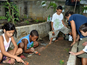 Projeto Rocinha Mais Verde quer ensinar crianças a cultivar alimentos orgânicos Projeto Rocinha Mais Verde quer ensinar crianças a cultivar alimentos orgânicos