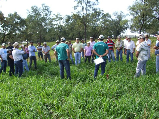 Resultados positivos de utilização LPF serão apresentados em palestra do Senar