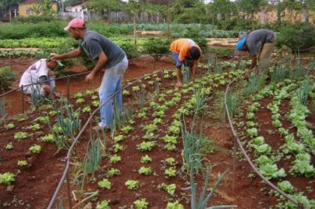 Governo abre seletiva para programa de assistência técnica e extensão rural