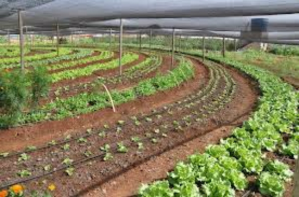 Abertas inscrições de trabalhos para o Congresso Brasileiro de Agroecologia Evento que pretende reunir mais de 3 mil pessoas de todo país em Belém, e tem como objetivo dividir conhecimentos entre os participantes / Foto: Divulgação