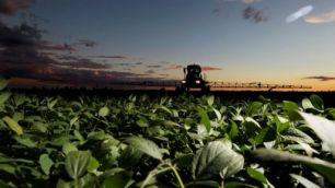 A safra 12/13 poderia superar o recorde nacional, registrado em 10/11, de 75,3 milhões de toneladas. 