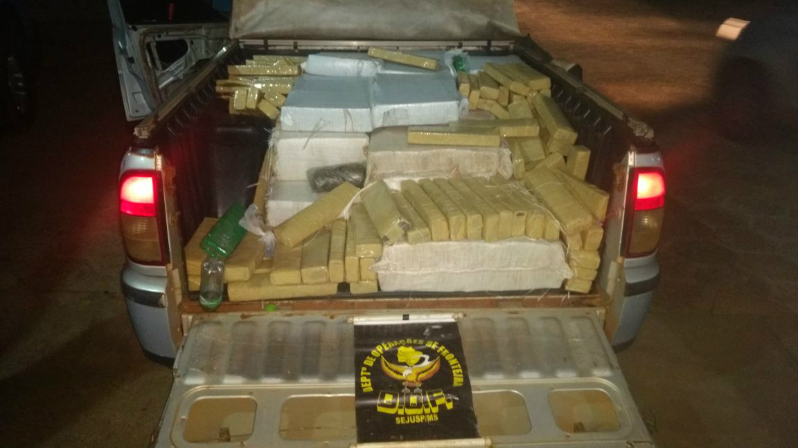 Os policiais localizaram 489 tabletes de entorpecente / Foto: DOF