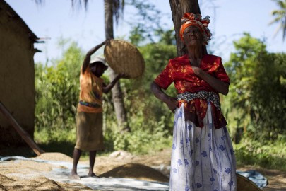 Moradoras da região do entorno do Rio Artibonite, que possivelmente está na origem da cólera, estas duas senhoras passam por dificuldades diversas. Não apenas pela perda da maior parte da plantação de arroz, devido às recentes enchentes causadas pelo furacão Tomas, como também pela infestação de pragas na colheita e pela diminuição das vendas e redução do preço do arroz da região, em decorrência do surto de cólera. Foto: ONU/Logan Abassi.