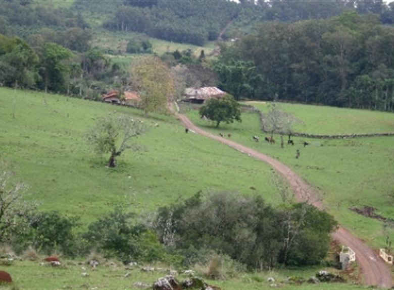 Portal do Imposto Territorial Rural começa a funcionar no dia 8 de julho Portal do Imposto Territorial Rural começa a funcionar no dia 8 de julho