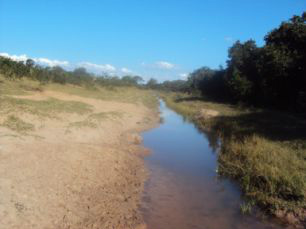 PMA autua pecuarista em mais de R$ 110 mil por desvio de córrego e exploração PMA autua pecuarista em mais de R$ 110 mil por desvio de córrego e exploração