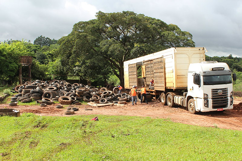 Mais de 20 toneladas de pneus foram destinados à reciclagem / Foto: Decom