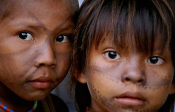 Anistia pede mais atenção a direitos indígenas