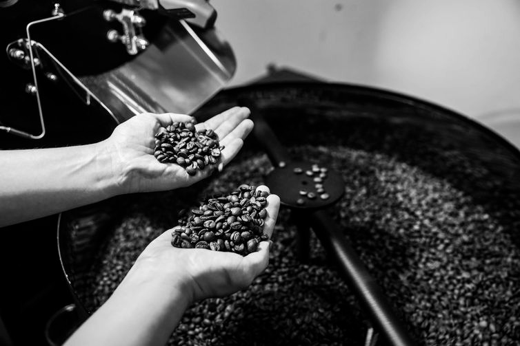 Cafés especiais ampliam mercado dentro e fora do Brasil Pequenas torrefações preparam grãos especiais de café - Marcello Casal Jr / Agência Brasil