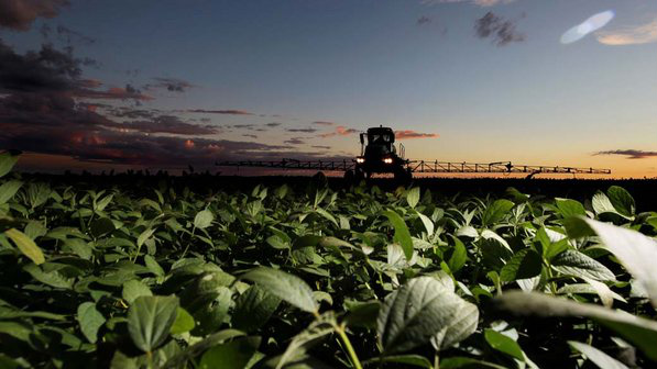 Brasil poderá produzir mais soja que EUA pela 1ª vez Brasil poderá produzir mais soja que EUA pela 1ª vez