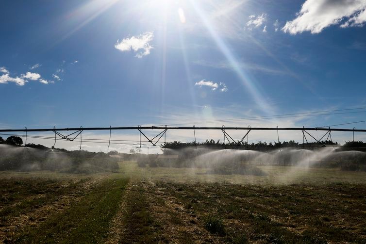 Cafés especiais ampliam mercado dentro e fora do Brasil Embrapa controla irrigação de café para aumentar produção - Valter Campanato / Agência Brasil
