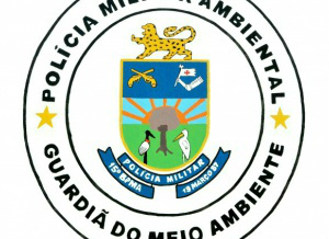 PMA autua duas pessoas em R$ 161,8 mil por transporte ilegal de madeira
