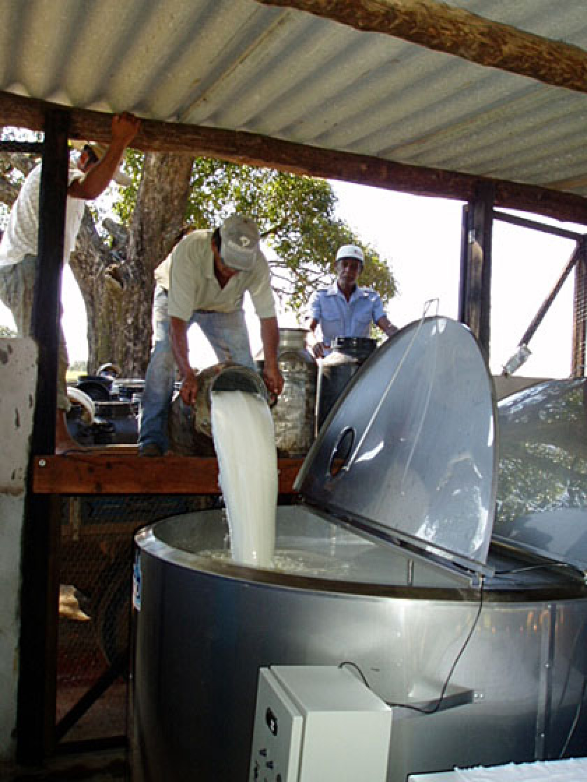 Agraer realiza II Feira do Leite em Iguatemi no início de dezembro