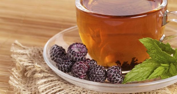Chá de amora: benefícios para a saúde, receitas e nutrientes