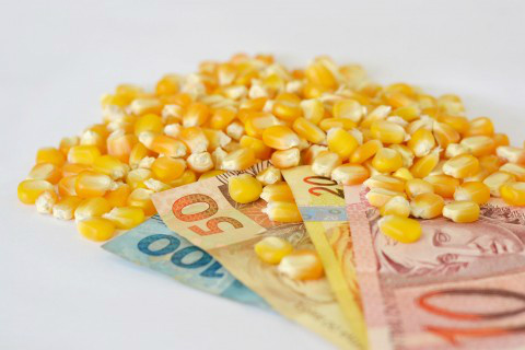 Exportações do agronegócio atingem montante de US$ 75,91 bilhões Foto: Ascom Famasul