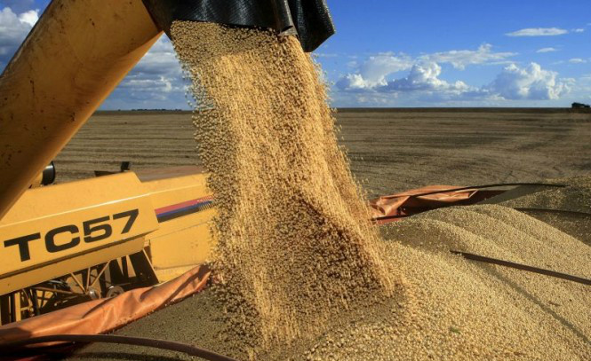 BNDES financiará investimentos em armazenagem de grãos