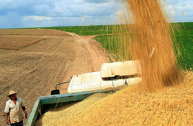 Informação é saída para o agronegócio