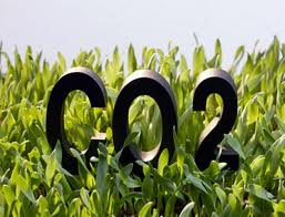 Ministério da Agricultura cria grupo de trabalho para o Plano de Baixa Emissão Ministério da Agricultura cria grupo de trabalho para o Plano de Baixa Emissão