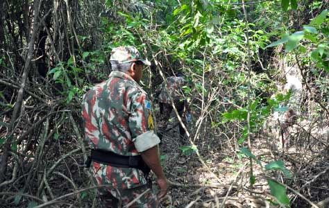 Policiais da Polícia Militar Ambiental fizeram buscas à onça durante uma semana, mas o animal não foi encontrado.