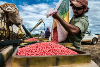 Comissão aprova autorização para biólogo trabalhar na produção de sementes