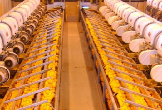 Exportações somaram US$ 6,17 bi em julho Exportações somaram US$ 6,17 bi em julho