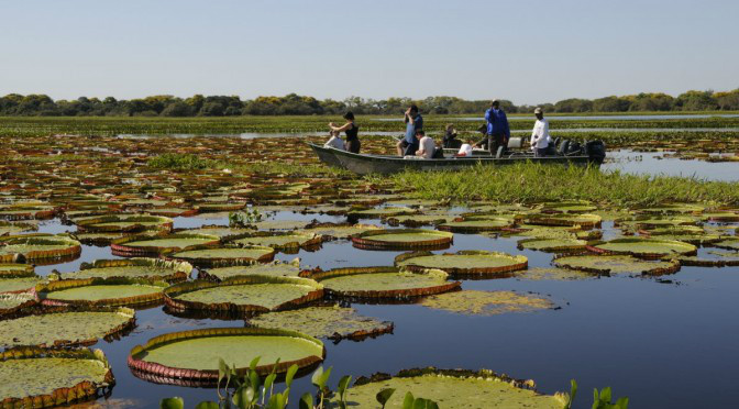 Turismo de Mato Grosso do Sul será representado em mais 8 feiras nacionais