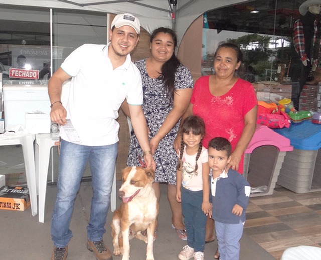 250 animais foram vacinados e 50 doses de vacina distribuídas / Foto: Moreira Produções