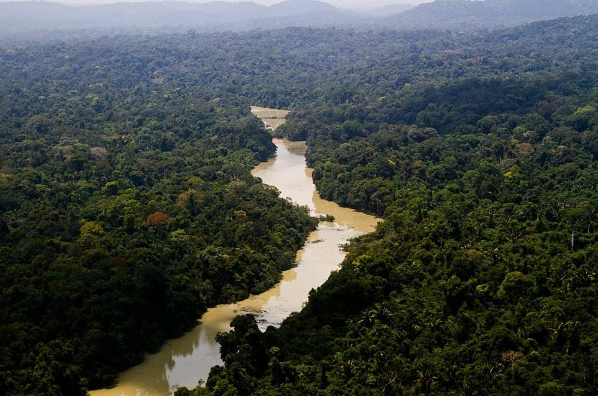 O alerta consta de um relatório divulgado hoje pelo WWF-Brasil