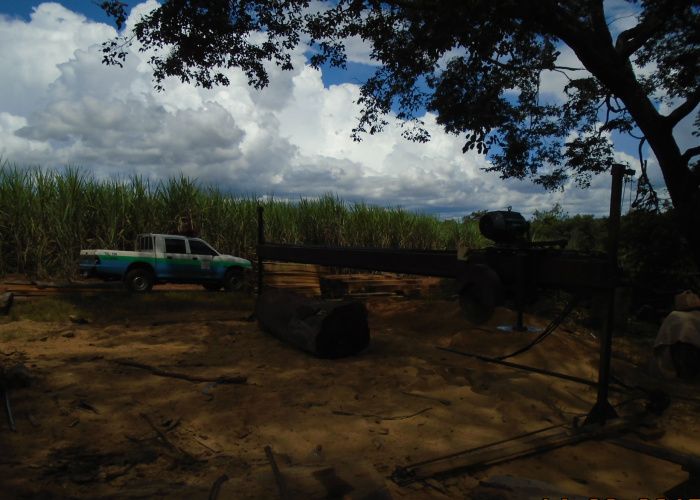 PMA fecha serraria ilegal e apreende 62 m³ de madeira