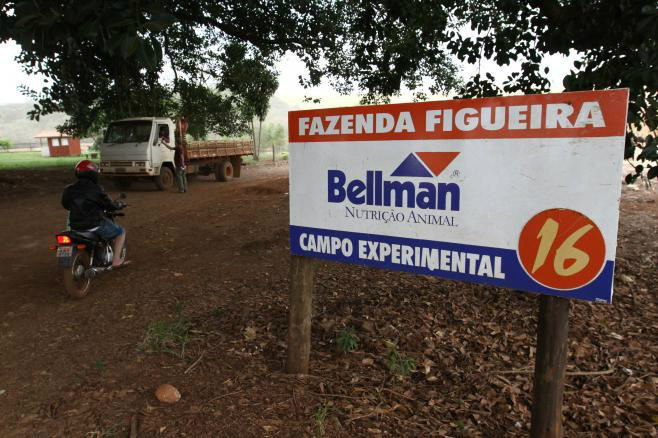 Fundação MS repudia invasão da Fazenda Figueira