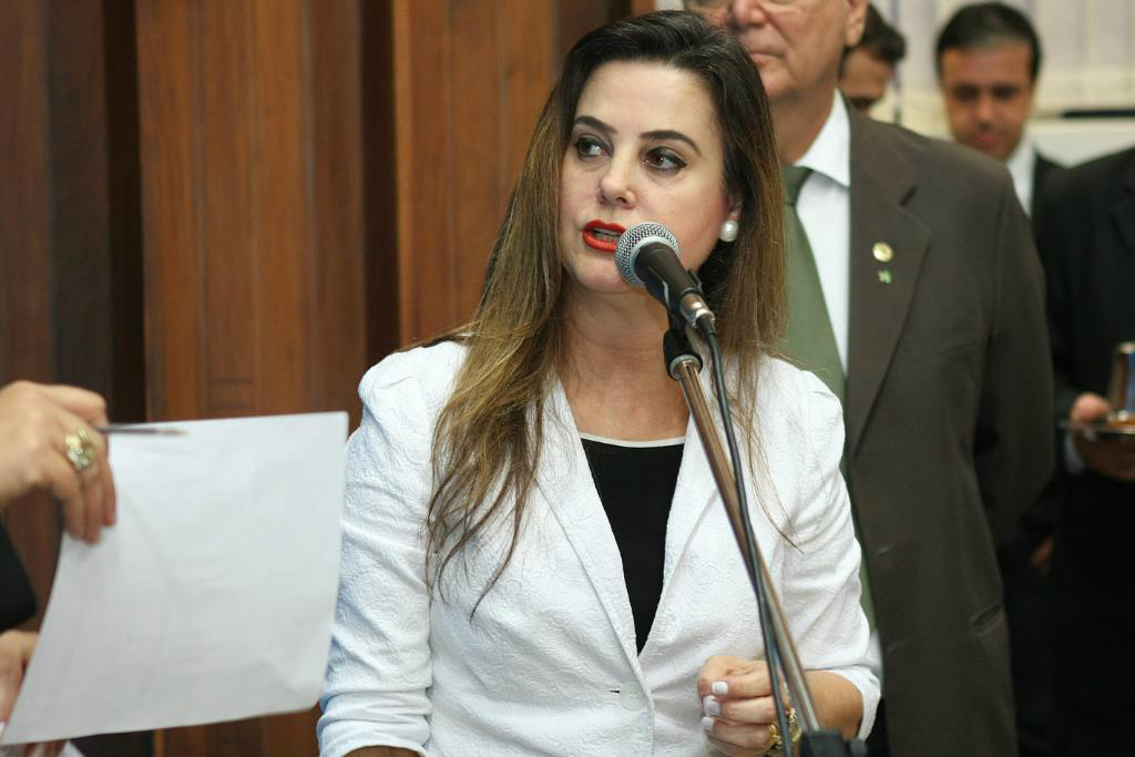 Moradores e comerciantes podem ser isentos de pedágio em trechos de rodovias