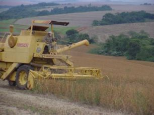 Crise nas bolsas podem afetar Mato Grosso do Sul a longo prazo