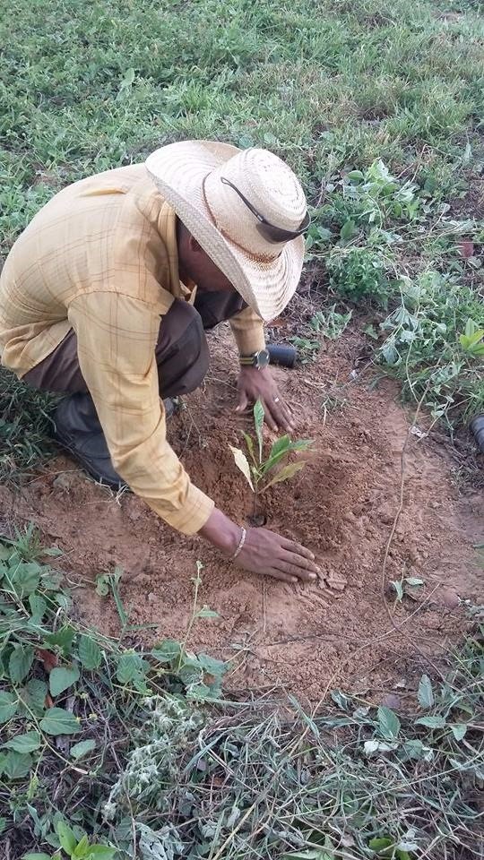Foto: Nicoli Dichoff / Embrapa oferece ferramentas para elaboração de projetos na área