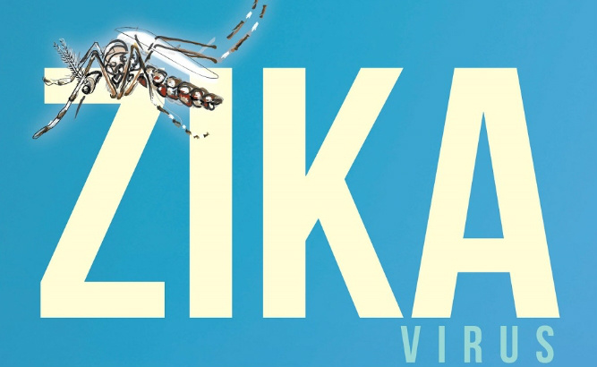 OMS: 41 países tiveram transmissão de Zika desde 2015 e 31 estão nas Américas OMS: 41 países tiveram transmissão de Zika desde 2015 e 31 estão nas Américas