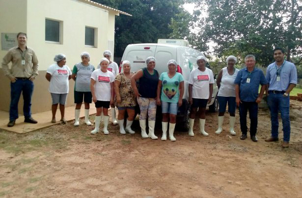 Caminho da Mandioca: do campo à agroindústria, cultivo se potencializa em MS Foto: Divulgação