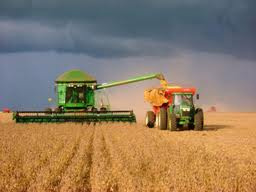 Apesar de reduzir projeção, Conab mantém expectativa de safra recorde