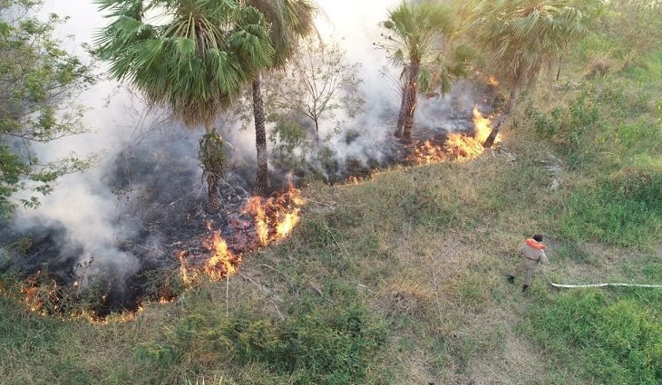 Acesso aos locais onde estão os focos de incêndio dificulta o trabalho, por isso Corpo de Bombeiros e o Ibama solicitaram apoio de aeronaves / Foto: Divulgação