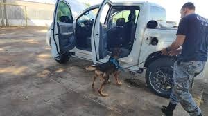 Viúva de traficante é presa com cocaína escondida em aspirador de pó Caminhonete foi levada para batalhão da PM para vistoria com ajuda de cão farejador (Foto: Adilson Domingos)