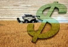 Cinco impactos da alta do dólar no agronegócio Alta valorização do dólar favoreceu muitos setores rurais e ajudou nas exportações / Foto: Divulgação