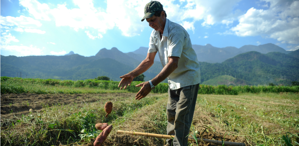 Inscrição no Cadastro Ambiental Rural deve ser feita até dezembro Inscrição no Cadastro Ambiental Rural deve ser feita até dezembro