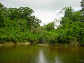 Lei estadual confere segurança jurídica às questões ambientais