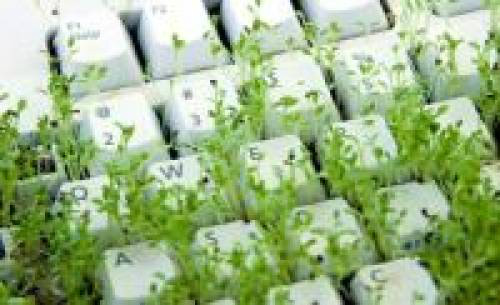 Aquece mercado de softwares para agronegócio no Brasil Foto: Divulgação