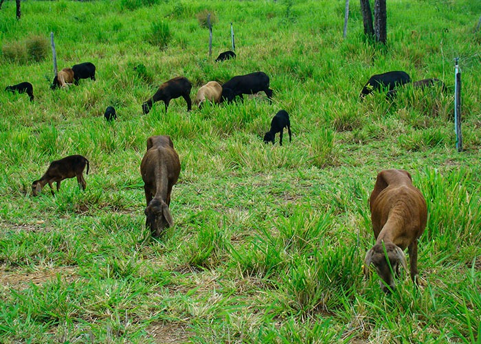 Foto: Adilson Nóbrega