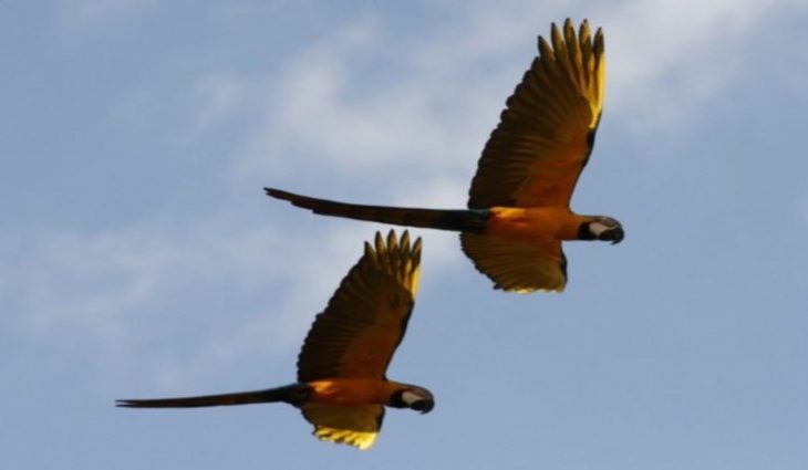 Julho termina com intensa massa de ar polar Foto: Divulgação