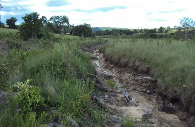Foto: Divulgação PMA