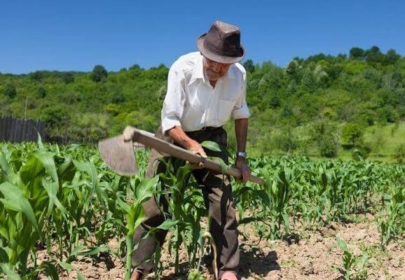 Secretaria de Agricultura e Pecuária realiza reunião com produtores rurais Foto: Decom