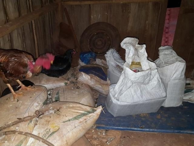 Fardos de maconha encontrados em galpão, usado também para criação de galinhas (Foto: Divulgação)